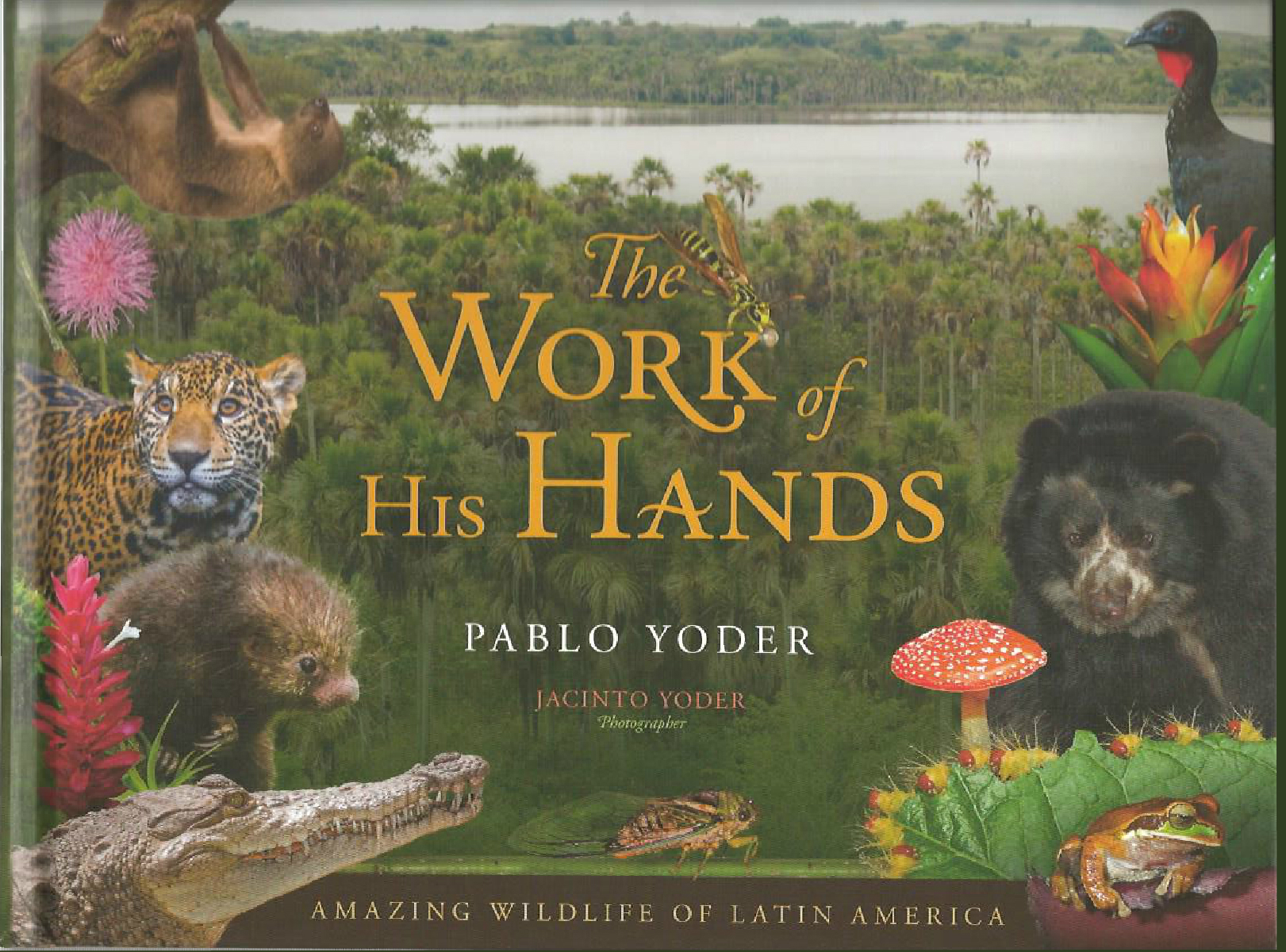THE WORK OF HIS HANDS Pablo Yoder